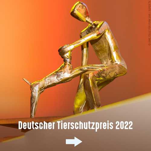 Herzlichen Glückwunsch -  die Preisträger des Deutschen Tierschutzpreises 2022! 🎉🎉

🏅 Den 1. Platz gewinnt der...