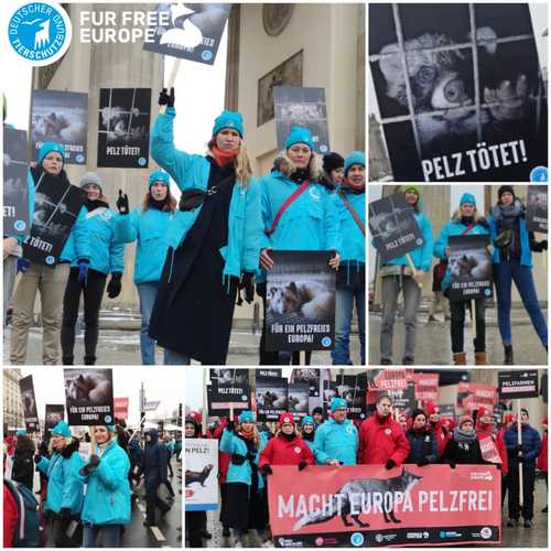 Wir demonstrieren in #Berlin für ein pelzfreies Europa! 💪
Gemeinsam mit weiteren Tierschutzorganisationen fordern wir...